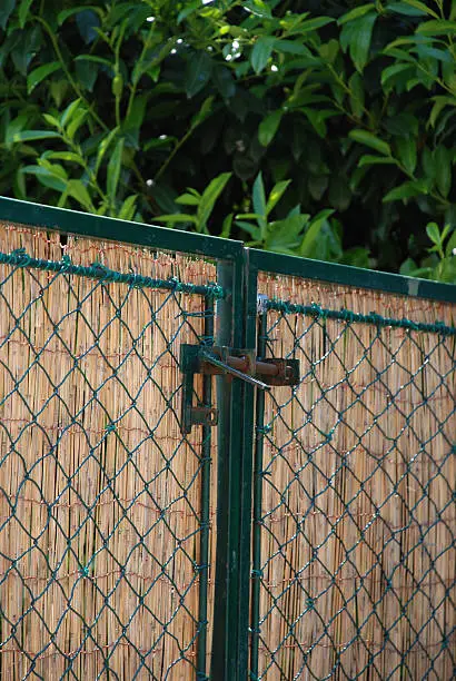 Avoid Common Mistakes Secure Trellis