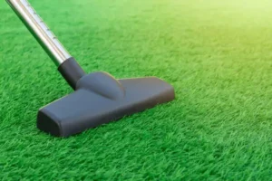 How to Clean Artificial Grass