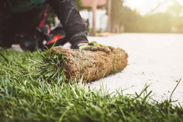When You Need to Install New Artificial Grass
