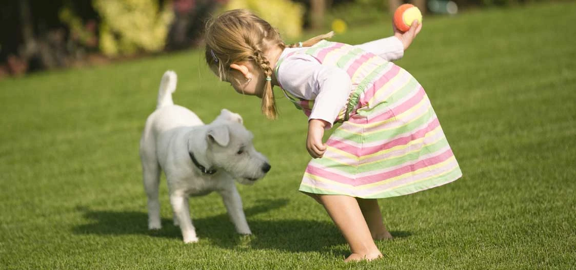 Safe for Kids and Dogs