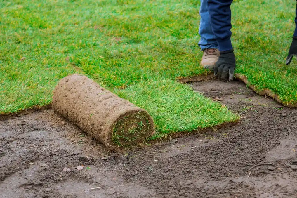sod installation by advanced dirveway solutions