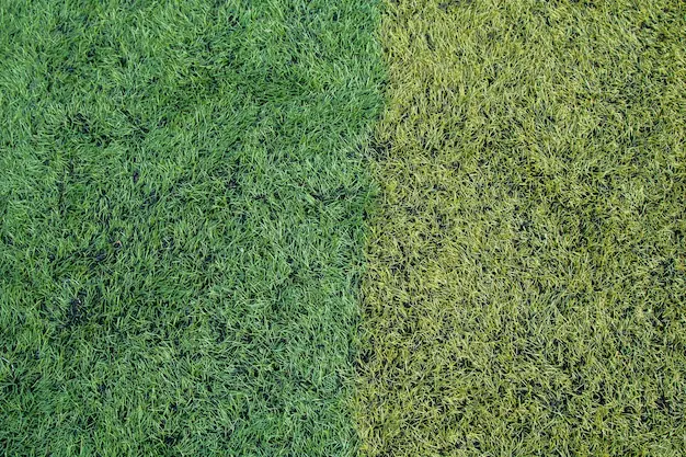 artificial grass vs natural grass