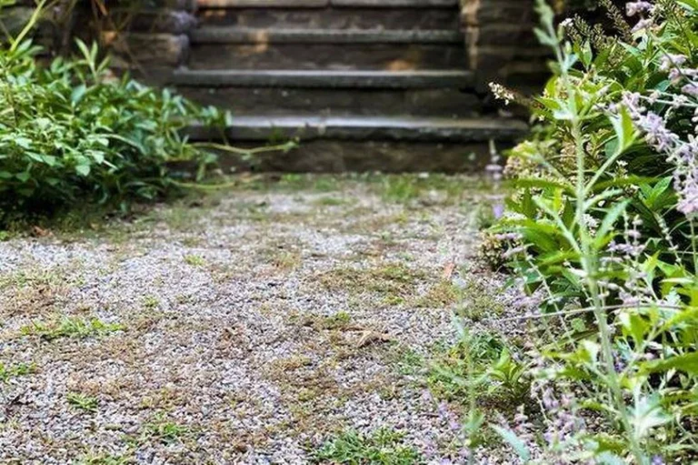 How to Permanently Get Rid of Weeds in Gravel Driveway?