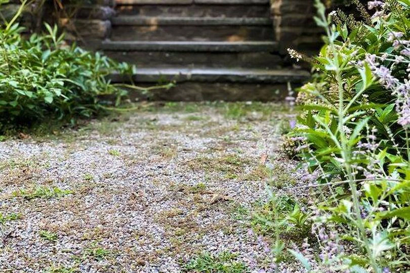 How to permanently get rid of weeds in gravel driveway?