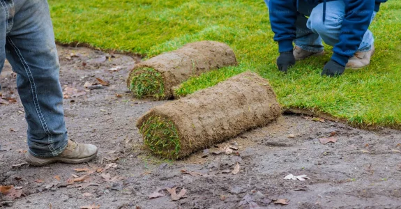 SOD Turfing Installation Barrow in Furness Banner Image